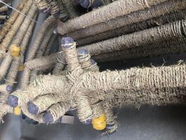 2000L桨式搪瓷搅拌器